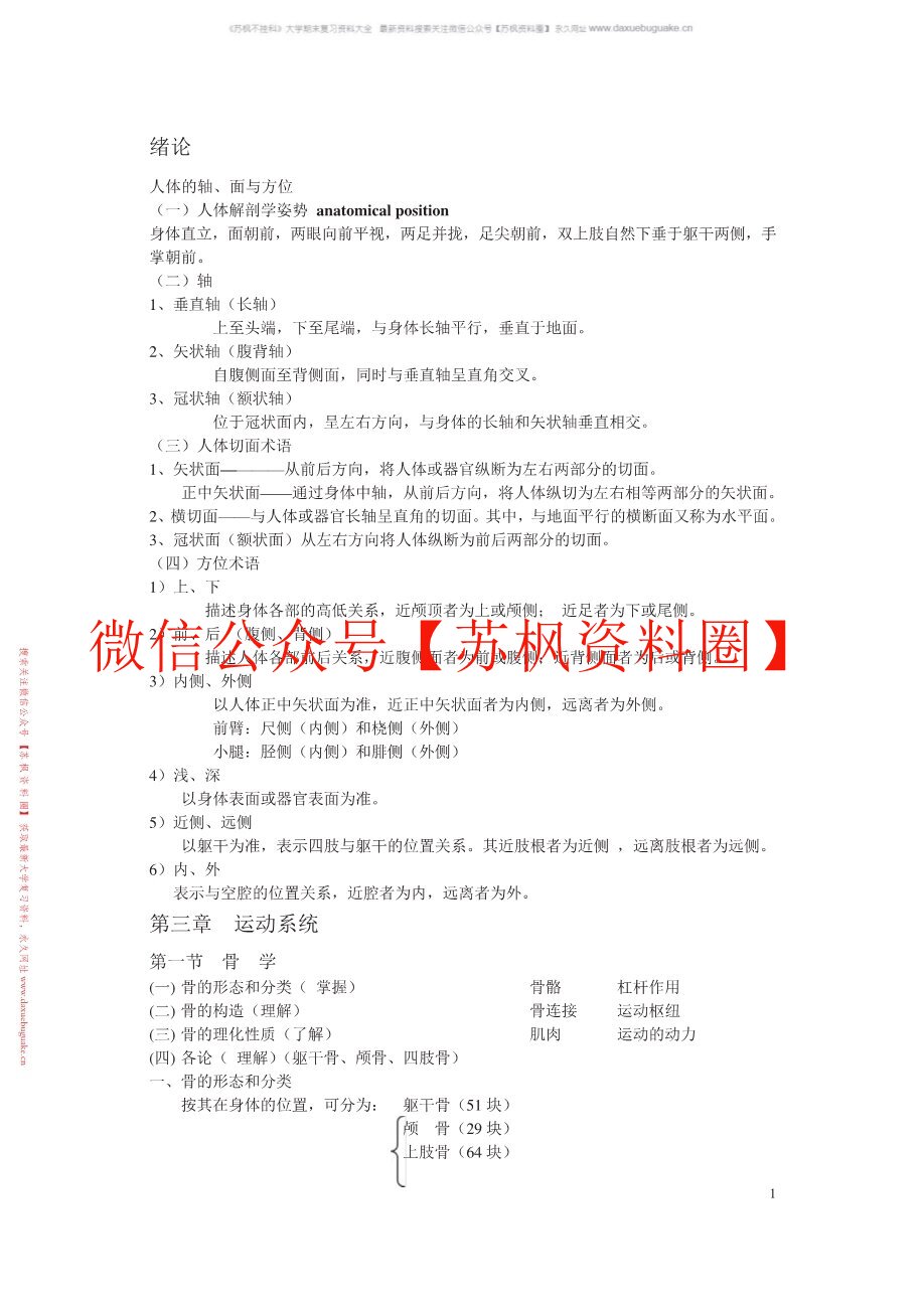 人体形态学(更新)
